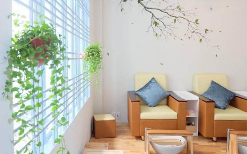 Không gian tươi mát - Cỏ Thơm Salon & Coffee không gian tươi mát của quán cà phê cỏ thơm